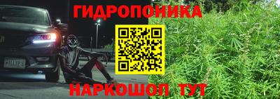 прущие крисы Комсомольск-на-Амуре