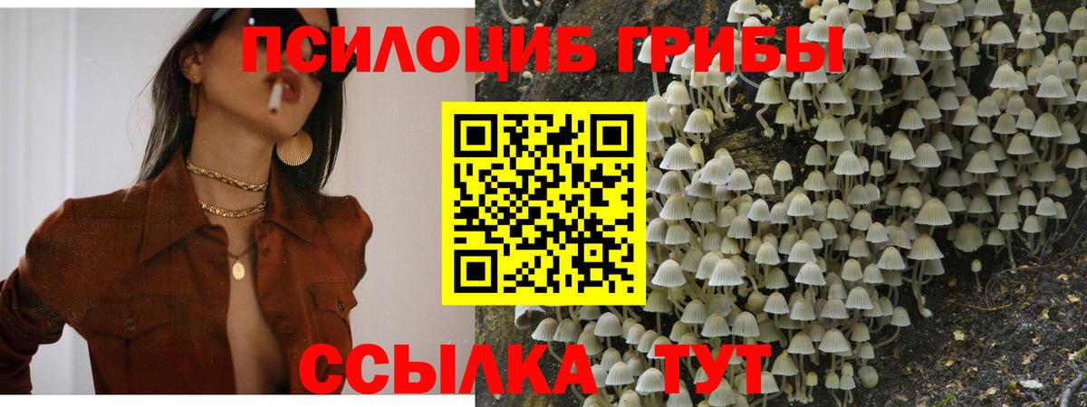 Псилоцибиновые грибы Magic Shrooms Удомля