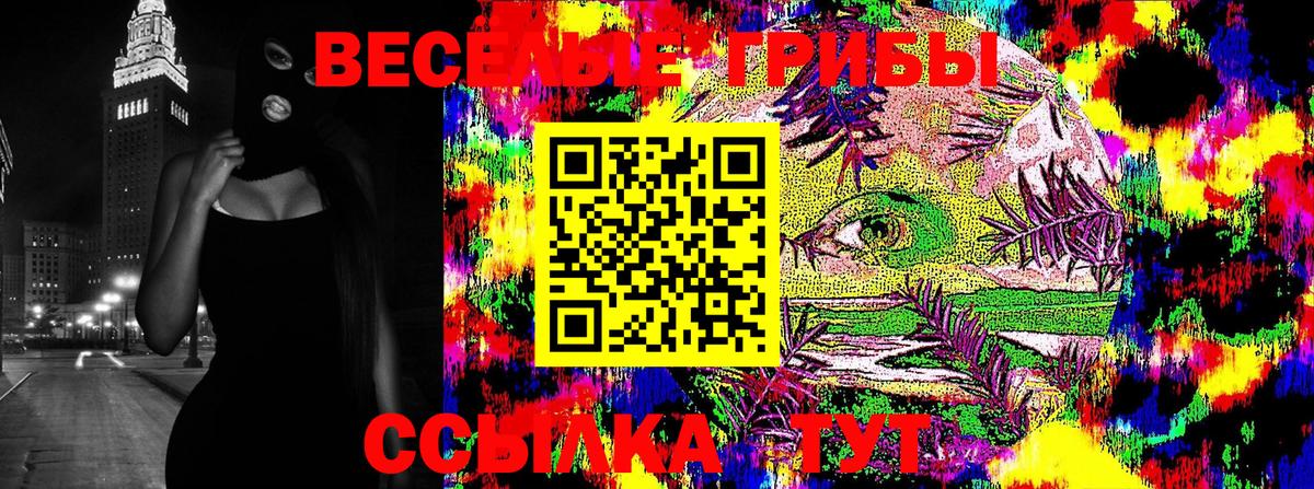 Псилоцибиновые грибы MAGIC MUSHROOMS  Вход с VPN  Удомля 